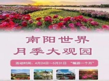 第十二届南阳月季花会4月29日开幕，活动丰富多彩