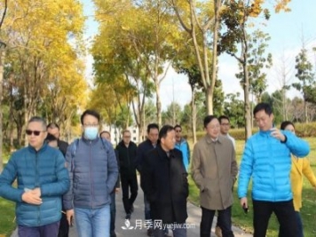 提升城市园林绿化，苏州向上海学什么？